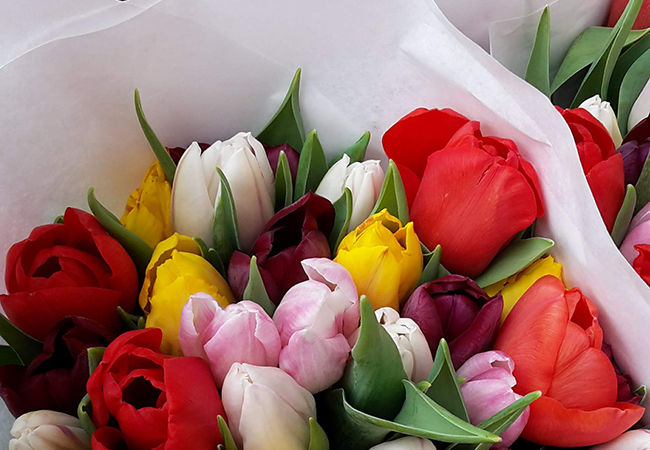 kerstin just vogtland reden feste